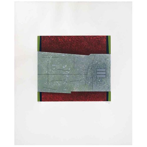 GUNTHER GERZSO, Sin título, de la carpeta Del Árbol Florido, Firmada y fechada 80, Serigrafía 7/100, 31 x 34 cm