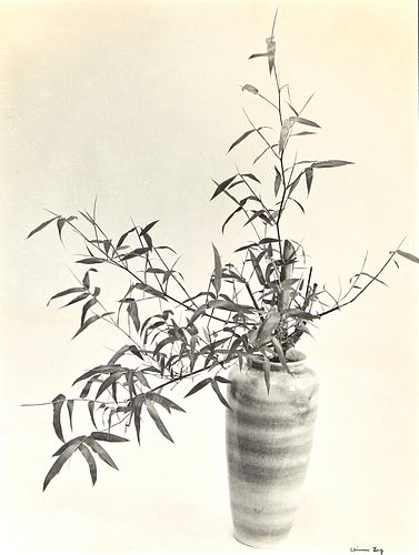 Chin San Long Photograph - Bamboo Still Life