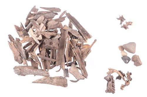 Bone Artifacts Of Northeastern Woodland NY Site