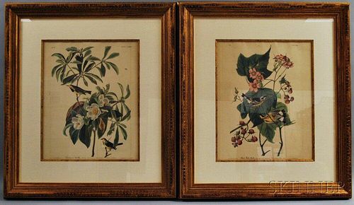 After John James Audubon (American, 1785-1851)      Two Framed Photo-reproductions: Bachman's Warbler