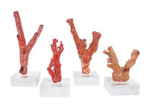 * A Set of Eight Coral Specimens Height of tallest 12 inches.
