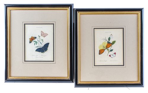 Two E. Donovan Butterfly Prints (ca. 1800)