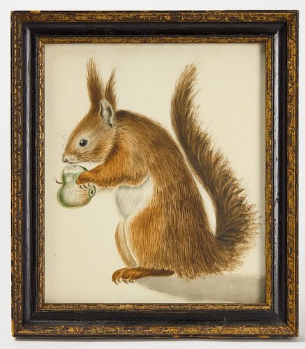 Watercolor of a Squirrel