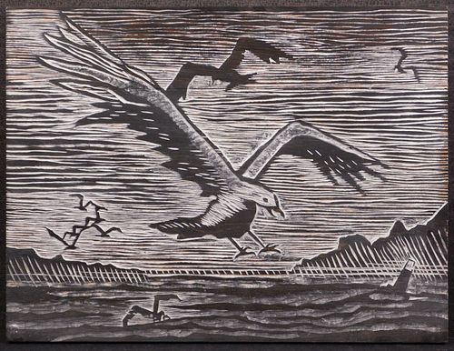 Howard Besnia:  Seagull