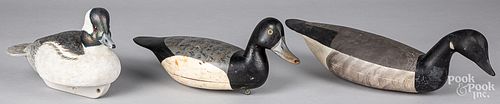 Three New Jersey carved and painted duck decoys