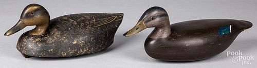 Two carved and painted black duck decoys