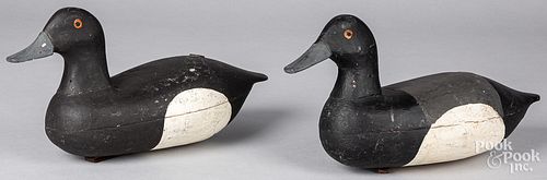 Pair of carved and painted broadbill duck decoys