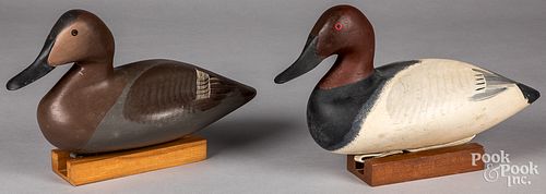 Pair of Harry Jobes canvasback duck decoys