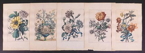 Five French Floral Arrangement Engravings