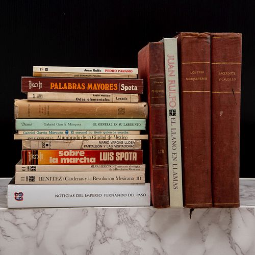 Libros sobre Literatura. Pedro Páramo / Monografía / Pablo Odas Elementales / Pantaleón y las Visitadoras. Pzs: 17.