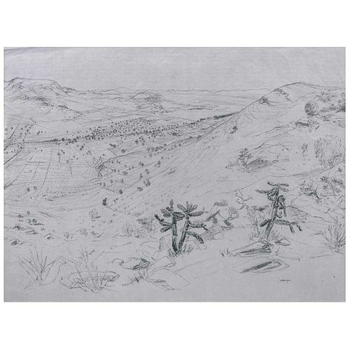 LUIS NISHIZAWA, Sin título, Firmado, Carboncillo sobre papel, 46 x 61 cm