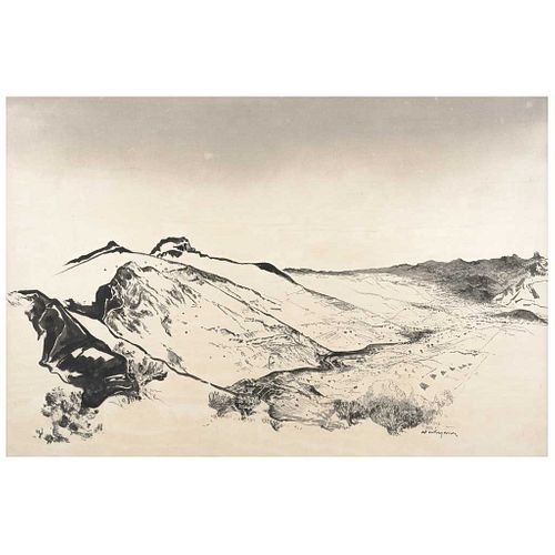 LUIS NISHIZAWA, Sin título, Firmada, Tinta sobre papel, 60 x 90 cm