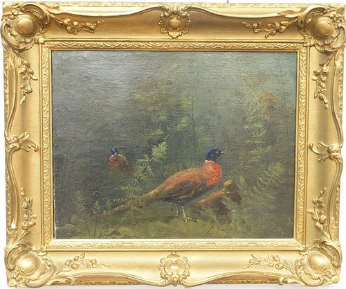 19th century oil on canvas pheasant in the brush, unsigned, relined.14" x 18"