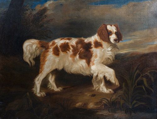 PORTRAIT OF A SPANIEL DOG OIL PAINTING