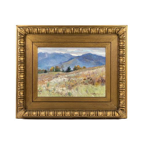 George Loftus Noyes Spring Mountain Meadow Oil on Canvas