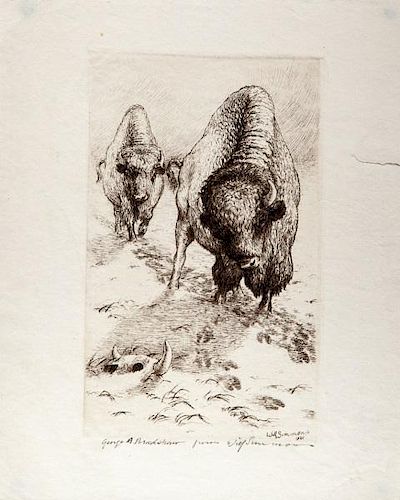 Will Simmons (1884-1949) Bison on the Trail