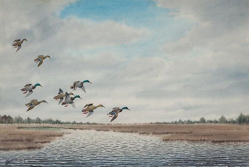 Joseph D. Knap (1875-1962) Mallards in Flight Over Marsh
