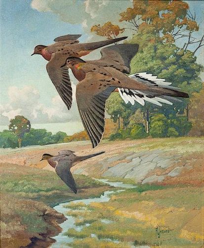 Francis Lee Jaques (1887-1969) Mourning Doves