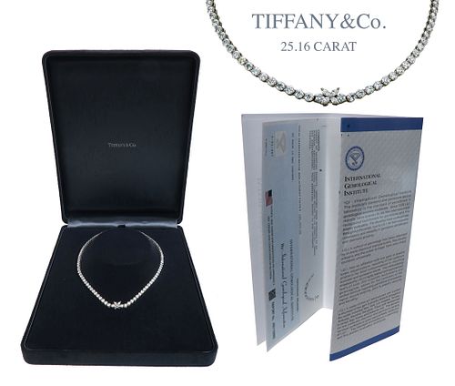 Tiffany & Co Diamond Mounting Platinum Necklace