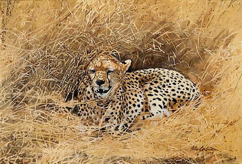 Peter Corbin (b. 1945) African Cheetah, or Tall Grass Cheetah