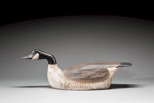 Swimming Canada Goose by George Boyd (1873-1941)
