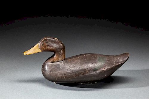 Black Duck by Robert "Bob" McGaw (1879-1958)