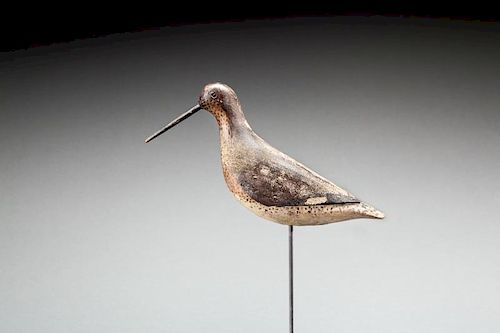 Long-Billed Dowitcher by Thomas Gelston (1851-1924)