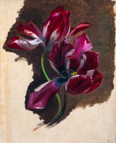 STILL LIFE STUDY OF A TULIP OIL PAINTING