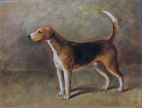 FOXHOUND DOG PYTCHLEY 'MARQUIS' 1899, CHAMPION OIL PAINTING
