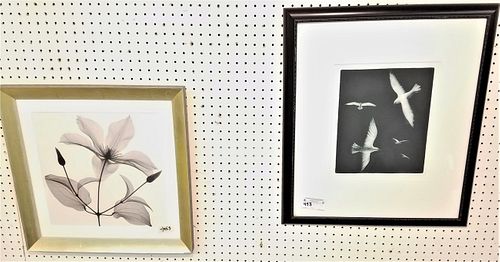 FRAMED ETCHING FLIGHT SGND FRANCINE KELLEY 13 1/2" X 11" AND X RAY OF A LILY 14 1/2" SQ
