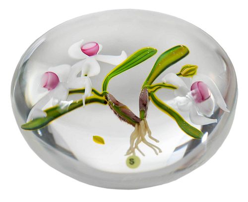 Paul J. Stankard Glass 'Cymbidium Orchid' Paperweight