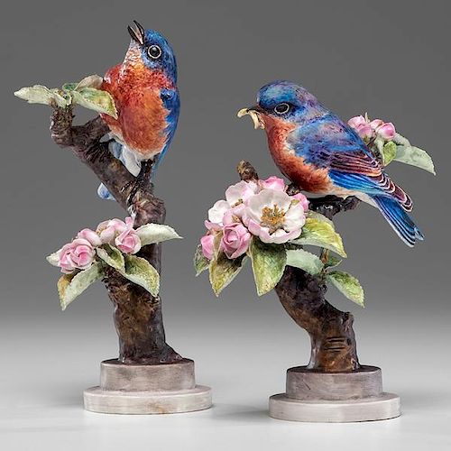 Royal Worcester Dorothy Doughty Bluebirds 