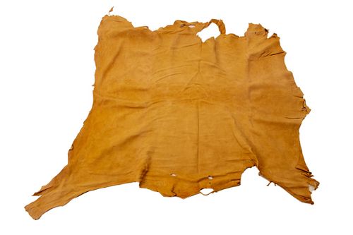 Montana Professionally Tanned Mule Hide