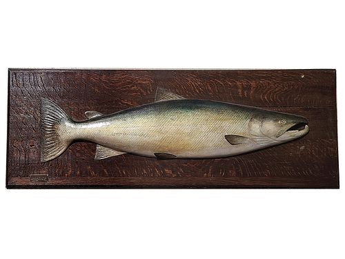 Large salmon plaque, Edward Gerrard & Sons, Natural History Studio Camdenton, London.