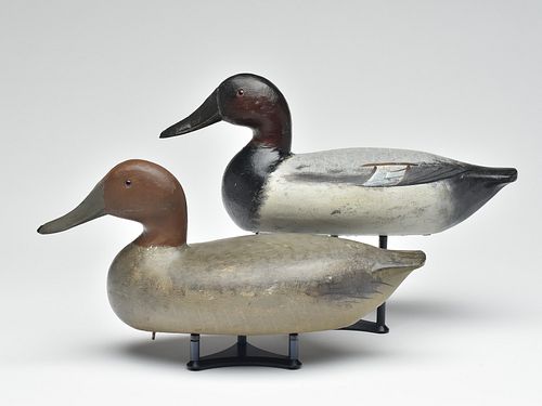 Pair of canvasbacks, Charles Perdew, Henry, Illinois, 2nd quarter 20th century.