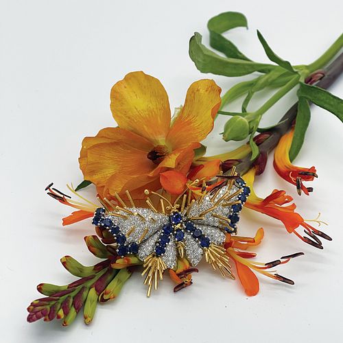 Schlumberger for Tiffany & Co. Platinum, 18k Gold, Sapphire and Diamond Butterfly Brooch