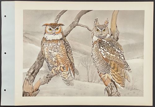 Brasher - Great & Western Horned Owl. 375