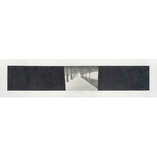 JAN HENDRIX, Vienna, Firmado Grabado al aguatinta 21 / 100, 14.5 x 83 cm imagen / 23.5 x 91 cm papel