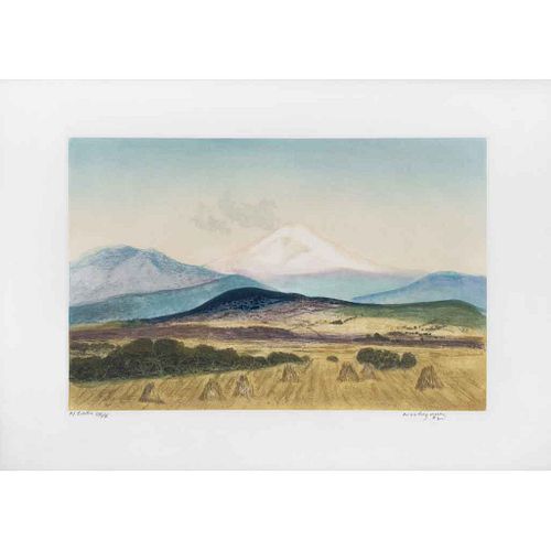 LUIS NISHIZAWA, Paisaje con volcán, Firmado y fechado 98 Grabado al aguatinta P / editor VIII/X 36 x 55 cm imagen / 39 x 60 cm papel