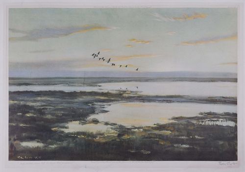 Peter Markham Scott: Only Sixteen Geese Left the Shore that Morning