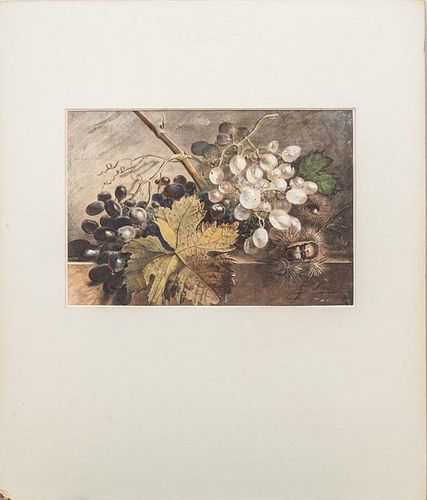 Continental School: Still Life with Grapes
