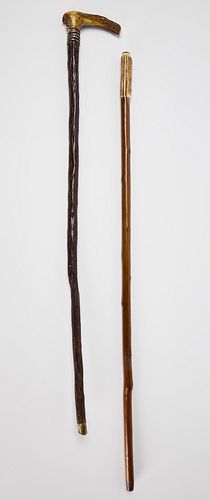 Two Canes with Bone Handles