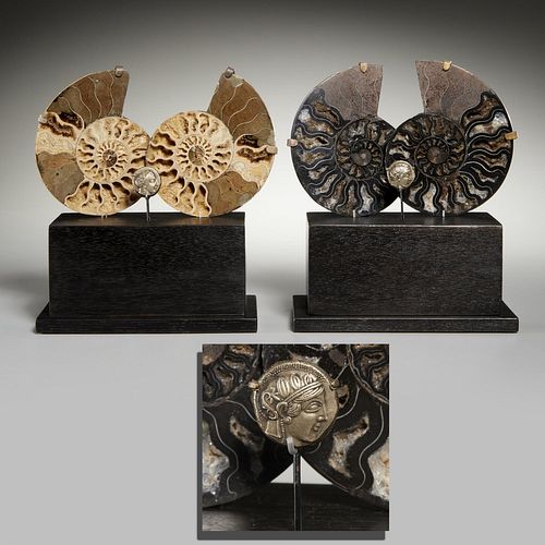 Pair mounted fossil and ancient coin displays