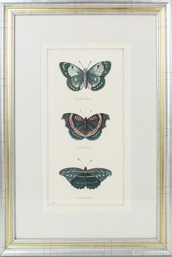 Edir Ella Butterfly Print
