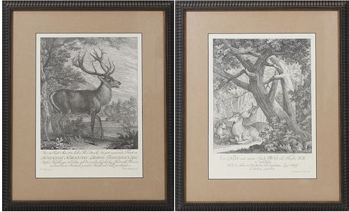Pair of Early Engravings of Stag & Deer in Nature