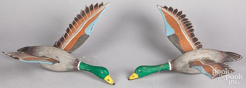Two carved and painted flying mallard duck decoys