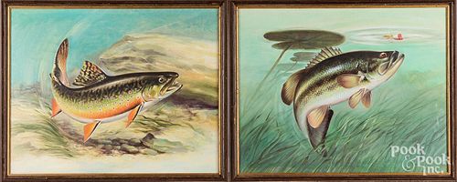 Oil on canvas of fish, 20th c