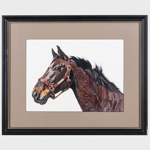 Don Grouse: A Group of Three Horse Portraits