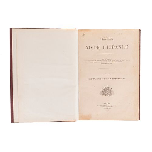 Sessé, Martino - Mociño, Josepho Mariano. Plantae Novae Hispaniae: Plantas de Nueva España. México, 1893. 1er edición.