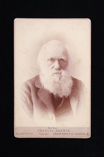 Original Charles Darwin Cabinet Card c.1880